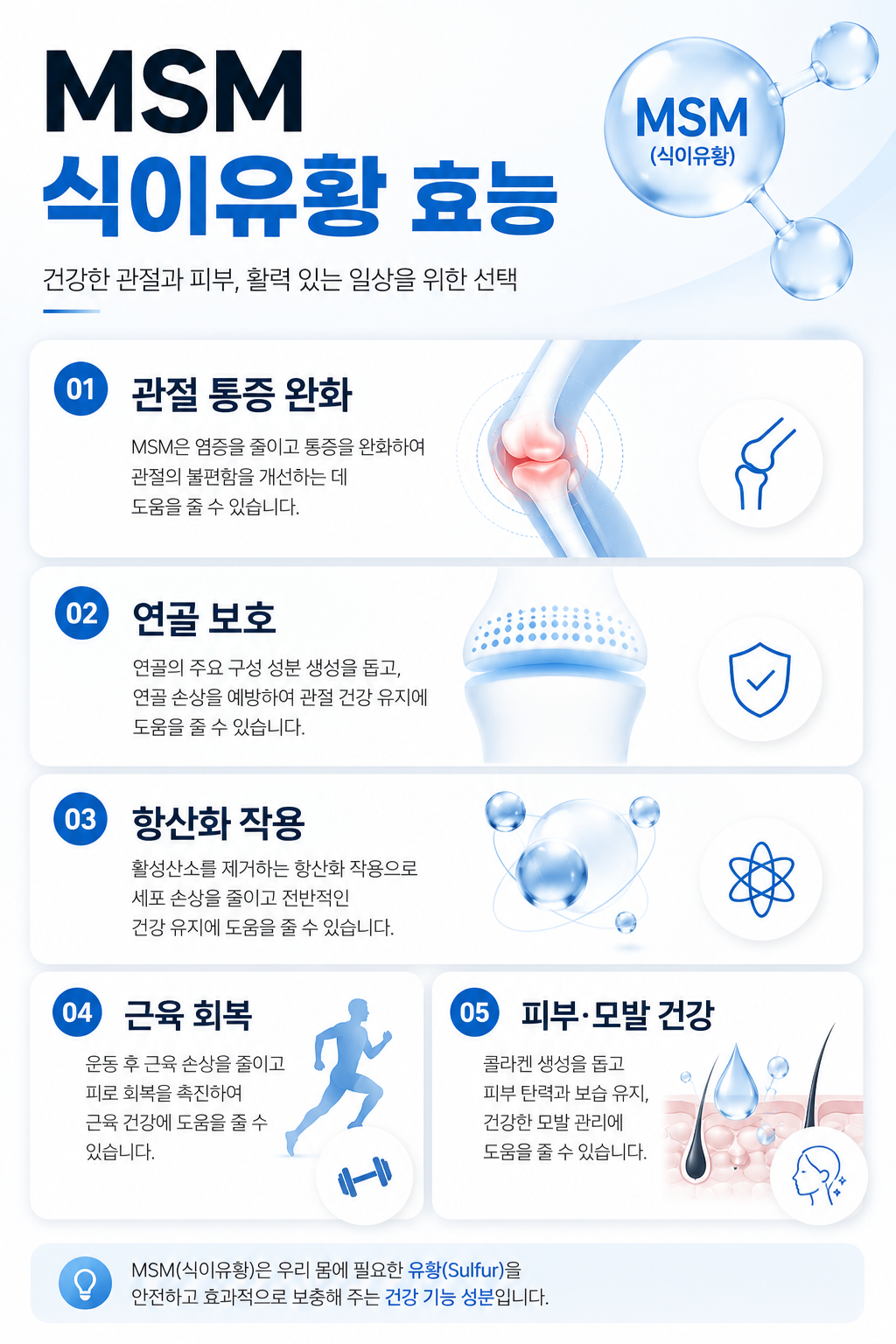 MSM 식이유황의 효능을 설명하는 깔끔한 인포그래픽