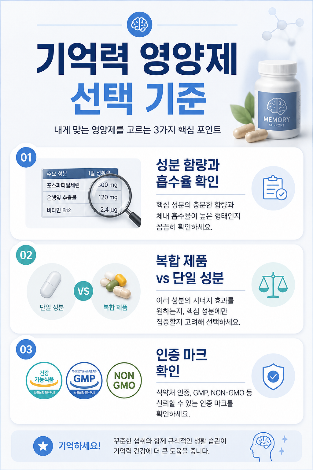 기억력 영양제 선택 기준 인포그래픽